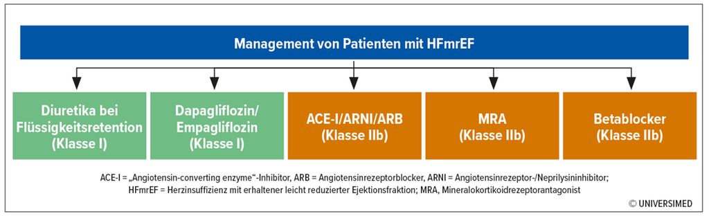 Herzinsuffizienz Guideline Empfehlung F R Sglt I Bei Hfmref Und Hfpef